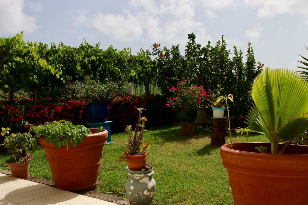 Bed & Breakfast 6 Suites Piscine Et Plage Pointe Faula Le Vauclin Eksteriør billede