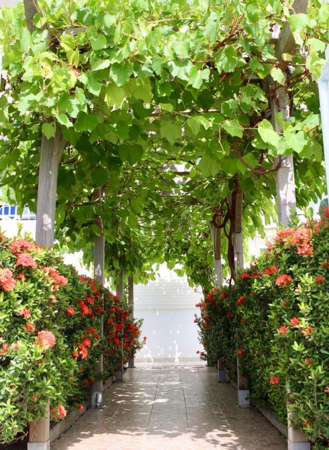 Bed & Breakfast 6 Suites Piscine Et Plage Pointe Faula Le Vauclin Eksteriør billede